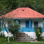 DB-Gura-Barbuletului-18