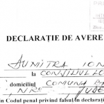 Dumitra Ion consilier