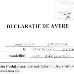 Mateoiu Daniela consilier