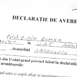 Pica Constantin Romeo consilier urbanism