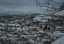 Salarii Primaria Bărbulețu