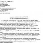 Raport Activitate Barbuletu 2017